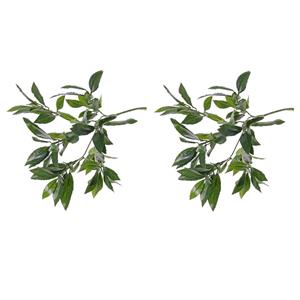 Bellatio flowers & plants 2x Kunstplant laurierblad takken van cm -