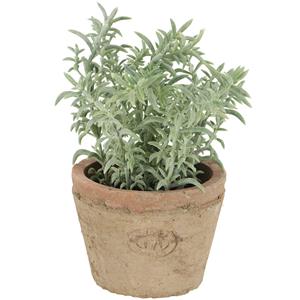 True to Nature Kunstplant/kruiden tijm - in oude terracotta pot - 15 cm - kruiden -
