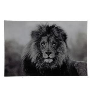 Countrylifestyle Schilderij Leeuw Wild Life zwart/wit