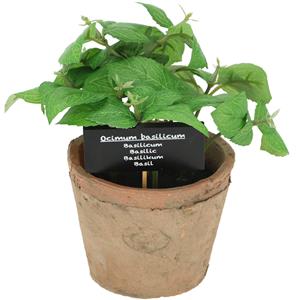True to Nature Kunstplant/kruiden basilicum - in oude terracotta pot - 18 cm - kruiden -