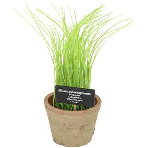 True to Nature Kunstplant/kruiden bieslook - in oude terracotta pot - 30 cm - kruiden -