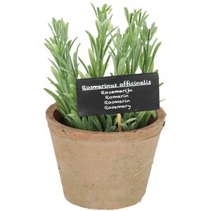 True to Nature Kunstplant/kruiden rosemarijn - in oude terracotta pot - 18 cm - kruiden -