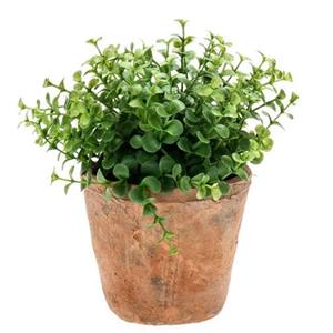 Emerald Kunstplant eucalyptus - groen - in oud terracotta pot - 20 cm -