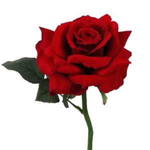 Bellatio flowers & plants Valentijn thema feestartikelen kunstbloem Rode roos/rozen deluxe 31 cm -