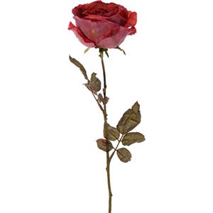 TopArt Top Art Kunstbloem roos Calista - rood - 66 cm - kunststof steel -