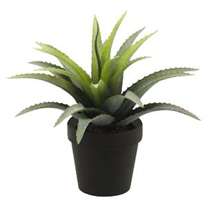 Emerald Kunstplant Agave Bush - groen met stekels - in zwarte pot - 18 cm -