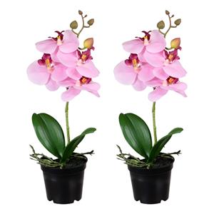 Louis Maes Orchidee bloemen kunstplant op plug - 2x - bloemen/bloemetjes - roze/groen - H33 cm -