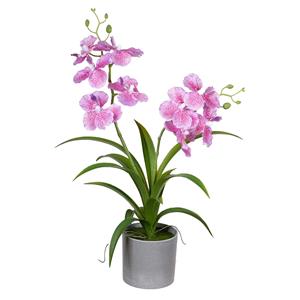 Louis Maes Orchidee bloemen kunstplant in bloempot - roze bloemen - H38 cm -