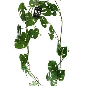 Bellatio Design kunstplant/hangplant slinger - Monstera - groen - 180 cm -