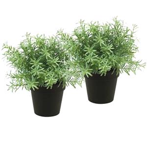 Merkloos Kunstplant/kruiden rozemarijn - 2x - in terracotta pot - 22 cm - kruiden -