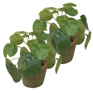 Bellatio flowers & plants Kunstplant pilea/pannekoekplant - 2x - mini - groen - in pot - 13 cm -