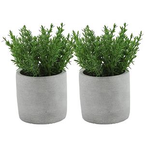 Countryfield Kunstplant/kruiden thijm - 2x -  - in grijs cement potje - 19 cm - kruiden -