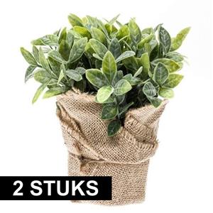 Bellatio flowers & plants 2x Kunstplanten munt kruiden groen in jute pot 19 cm -