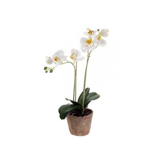 Bellatio flowers & plants Kunstplant - Orchidee - Wit - cm - In Terracotta Pot -