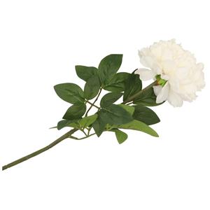 DK Design Kunstbloem pioenroos - creme - zijde - 71 cm - kunststof steel - decoratie bloemen -