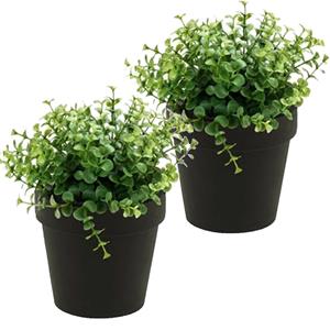 Bellatio flowers & plants Kunstplant eucalyptus - 2x - groen - in zwart potje - 20 cm -