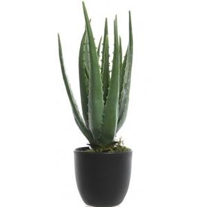 Bellatio flowers & plants Groene aloe vera kunstplant 35 cm in zwarte pot -