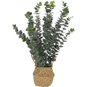 Home & Styling Kunst eucalyptus plant - in rieten mand - 50 cm - voor binnen - kunstplant -
