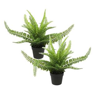 Countryfield Kunstplant Varen Monilophyta in bloempot - 2x - Groen - 25 x cm -