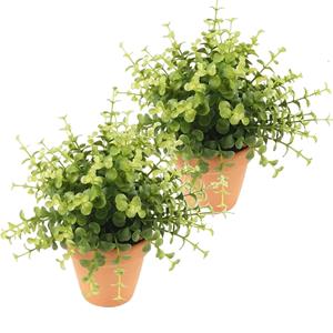 Bellatio flowers & plants Kunstplant eucalyptus - 2x - groen - in terracotta pot - 20 cm -