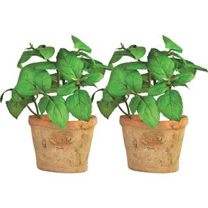 True to Nature Kunstplant/kruiden basilicum - 2x - in oude terracotta pot - 15 cm - kruiden -