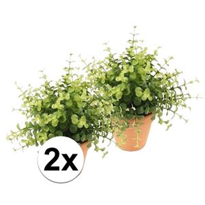 Bellatio flowers & plants 2x Kunstplant eucalyptus groen in terracotta pot 20 cm -