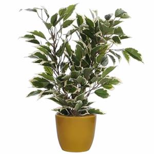 Mica Decorations Groen/witte ficus kunstplant cm met plantenpot okergeel D13.5 en H12.5 cm -
