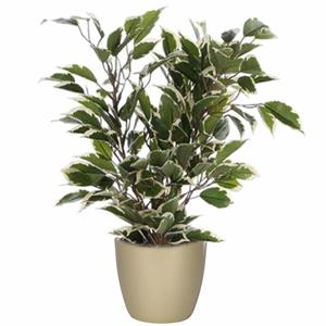 Mica Decorations Groen/witte ficus kunstplant cm met plantenpot parelgoud D13.5 en H12.5 cm -