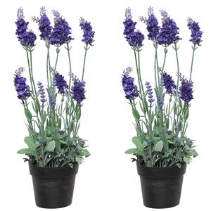 Everlands 2x stuks lavendel kunstplant in pot - paars - D18 x H38 cm -