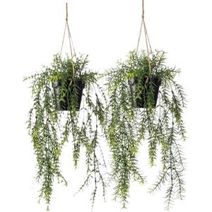 Emerald kunstplant/hangplant in pot - 2x - Asparagus - groen - 50 cm lang -