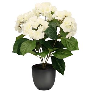 Merkloos Hortensia kunstplant/kunstbloemen cm - wit - in pot mat zwart -