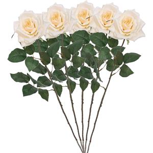 Mica Decorations Kunstbloem roos Emily - 5x - creme - 66 cm - kunststof steel - decoratie bloemen -