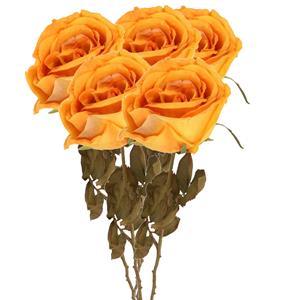 TopArt Kunstbloem roos Calista - 5x - perzik oranje - 66 cm - kunststof steel - decoratie bloemen -