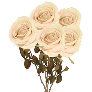 TopArt Kunstbloem roos Calista - 5x - wit creme - 66 cm - kunststof steel - decoratie bloemen -