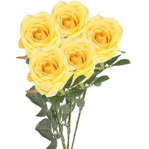 TopArt Kunstbloem roos Nova - 5x - lichtgeel - 75 cm - kunststof steel - decoratie bloemen -