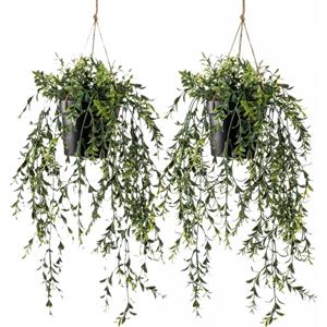 Emerald kunstplant/hangplant in pot - 2x - Buxus - groen - 50 cm lang -