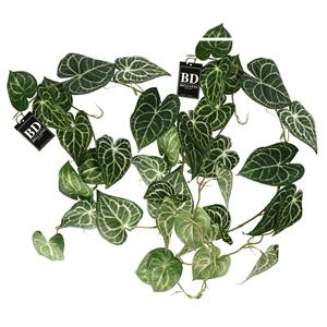 Bellatio Design kunstplant/hangplant slinger - 2x - Anthurium - groen - 109 cm -