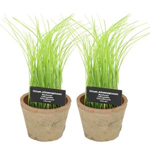 True to Nature Kunstplant/kruiden bieslook - 2x - in oude terracotta pot - 30 cm - kruiden -