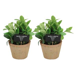 True to Nature Kunstplant/kruiden munt - 2x - in oude terracotta pot - 20 cm - kruiden -