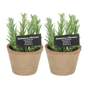 True to Nature Kunstplant/kruiden rosemarijn - 2x - in oude terracotta pot - 18 cm - kruiden -