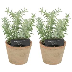 True to Nature Kunstplant/kruiden tijm - 2x - in oude terracotta pot - 21 cm - kruiden -