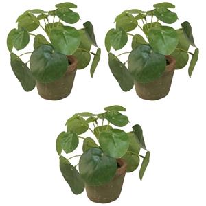 Bellatio flowers & plants Kunstplant pilea/pannekoekplant - 3x - mini - groen - in pot - 13 cm -
