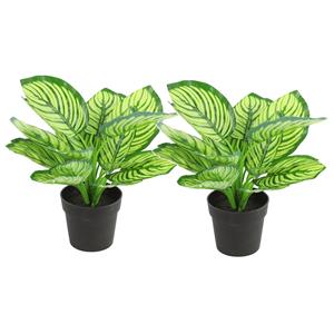 Countryfield Kunstplant Calathea in bloempot - 2x - Groen - 15 x 28 cm -