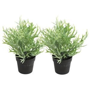 Countryfield Kunstplant Platycerium in bloempot - 2x - Groen - 20 x 24 cm -