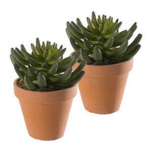 Merkloos Kunstplant Sedum Rupestre - 2x - groen - in terracotta pot - 14 cm -