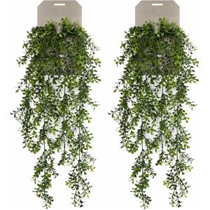 Emerald kunstplant/hangplant - 2x - Buxus - groen - 75 cm lang -