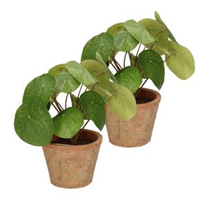 Merkloos Kunstplant pilea/pannekoekplant - 2x - groen - in pot - 25 cm -