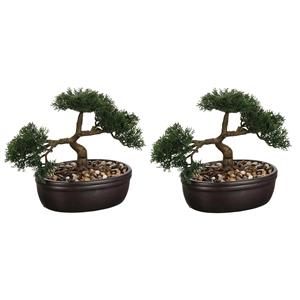 Atmosphera Set van 2x stuks  bonsai in keramische pot 23 cm -
