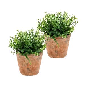 Merkloos Kunstplant eucalyptus - 2x - groen - in oud terracotta pot - 20 cm -
