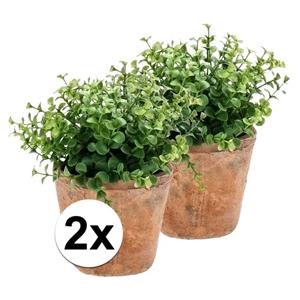 Bellatio flowers & plants 2x Kunstplant eucalyptus groen in oude terracotta pot 20 cm -